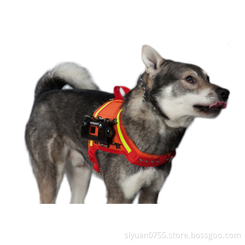 Dog Camera Vest With Waterproof Camera